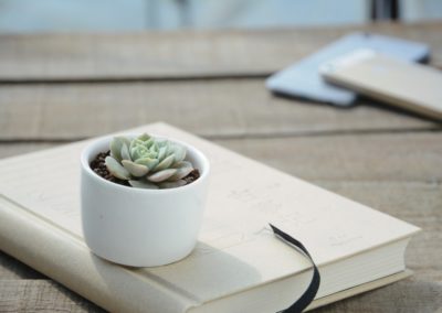 Contenido evergreen: qué es y para qué sirve